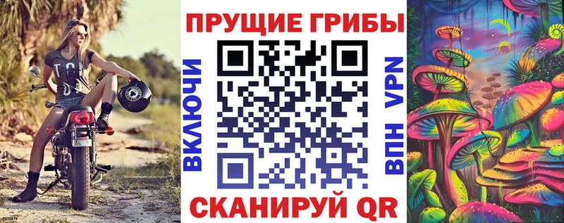 Псилоцибиновые грибы прущие грибы  Ипатово 